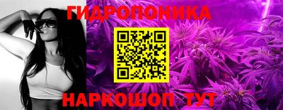 хмурый Малгобек