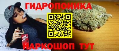 хмурый Аргун