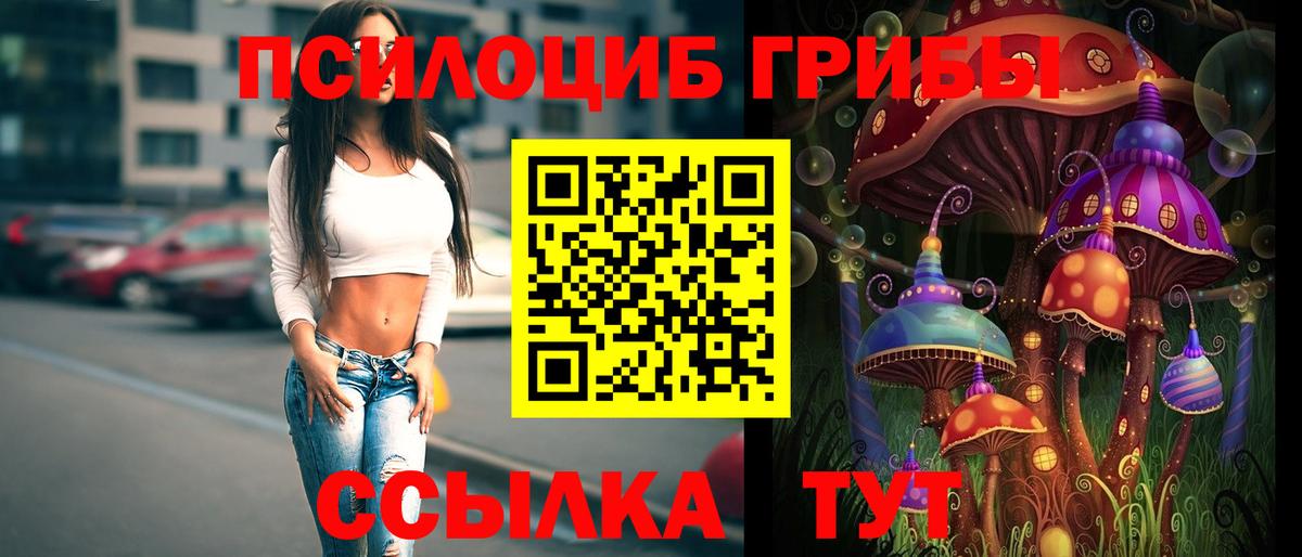 Псилоцибиновые грибы Magic Shrooms  Вход с VPN  Тольятти  Галлюциногенные грибы Psilocybine cubensis 